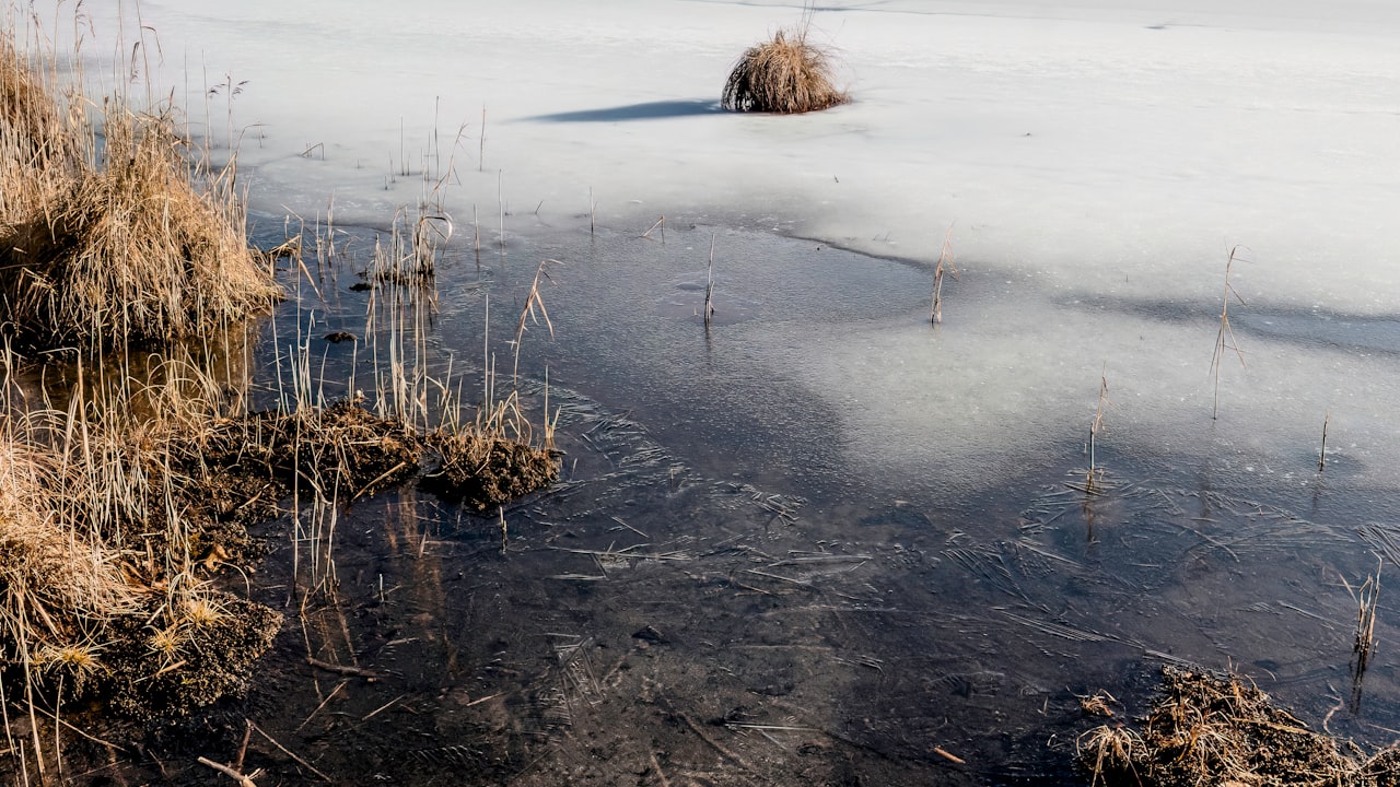 How to Choose the Best Safety Green Shirt